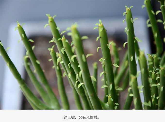 2023032916800549880956281221.png 6.png